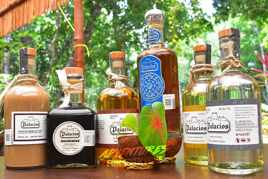 Tequila Tasting in Cancun