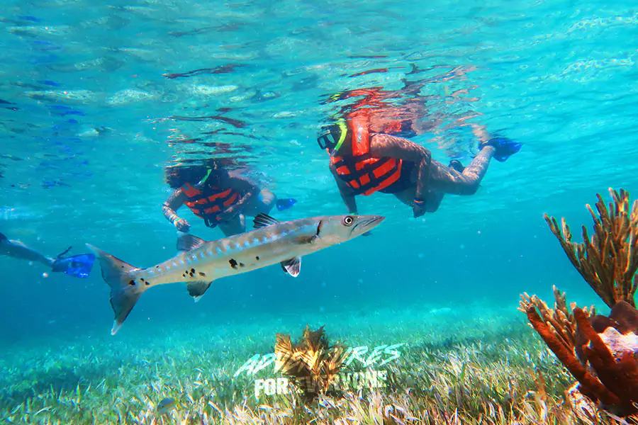 Cancun Snorkeling Excursions