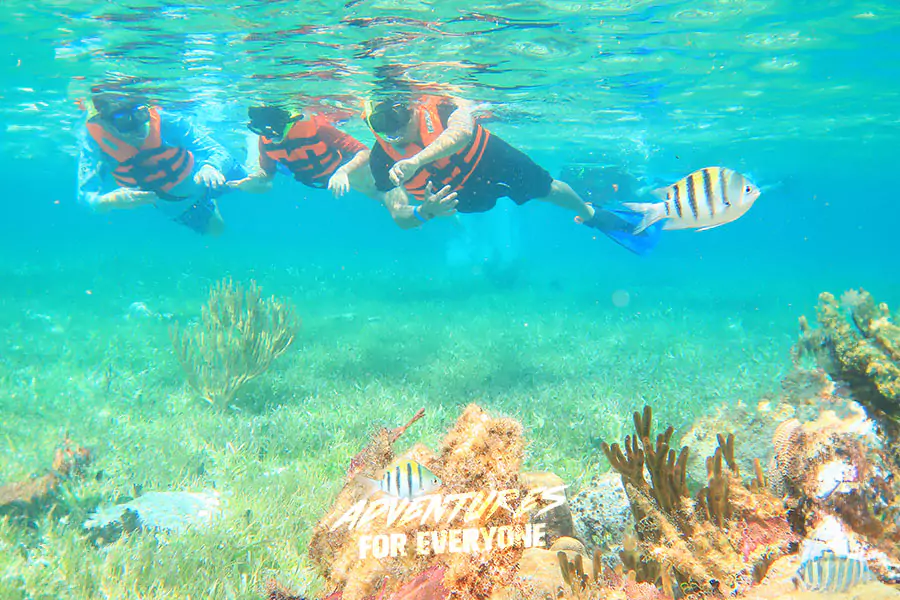 Snorkeling Cancun