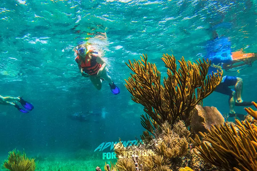 Cancun snorkeling